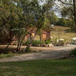 colliston-farm-12